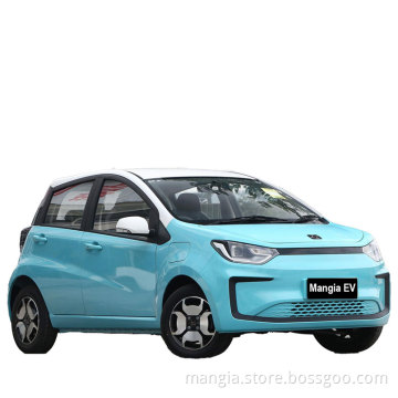 Mini SUV new energy 4-wheel Chinese electric car high-speed rechargeable adult electric car hot new product